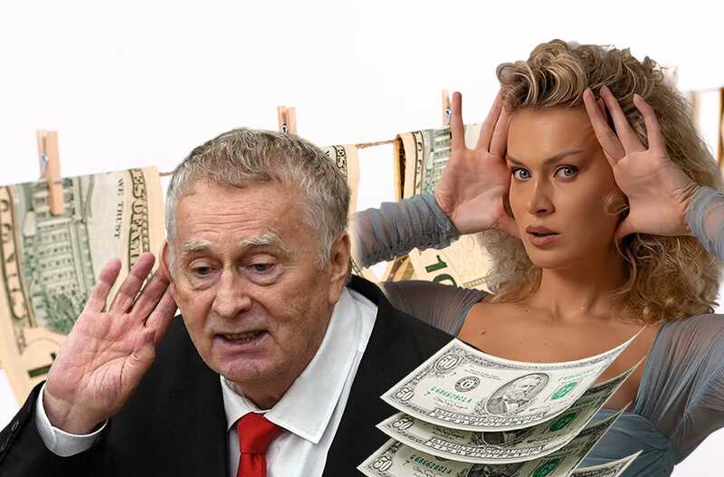 "Dirty" party millions in offshore accounts and elite real estate: Nadezhda Grishaeva unsuccessfully tries to erase traces of LDPR asset manipulations online