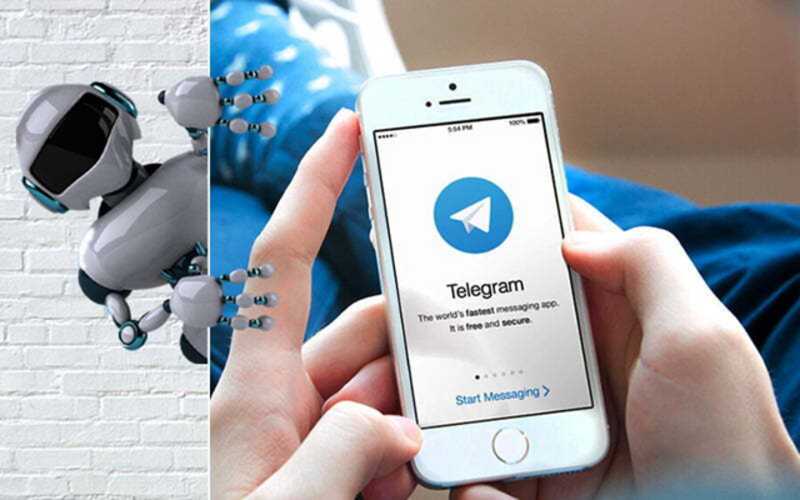 Роскомнадзор представил Telegram-бота для отметки каналов, имеющих более 10 тысяч подписчиков